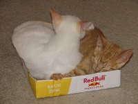 20100206 585.JPG